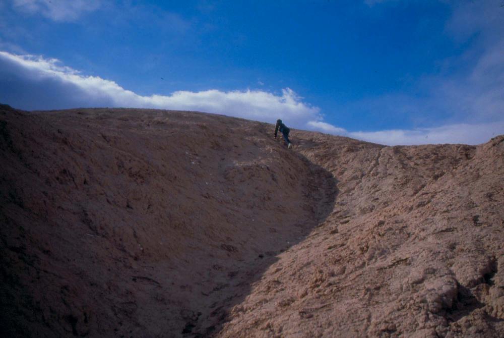 미국 애리조나주에서 촬영한 풍경 사진