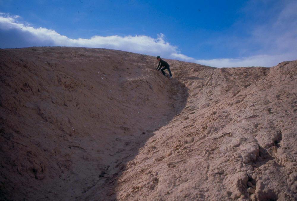 미국 애리조나주에서 촬영한 풍경 사진