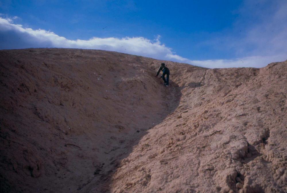 미국 애리조나주에서 촬영한 풍경 사진