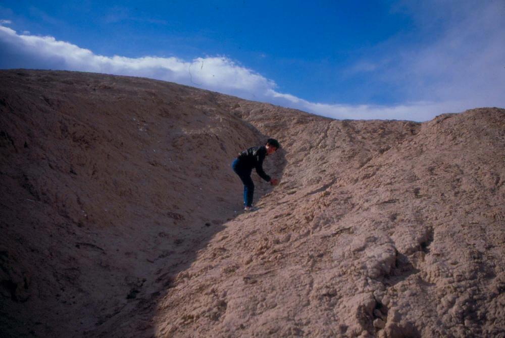 미국 애리조나주에서 촬영한 풍경 사진