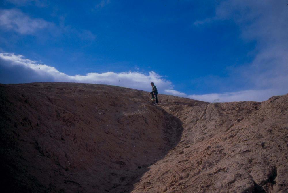미국 애리조나주에서 촬영한 풍경 사진