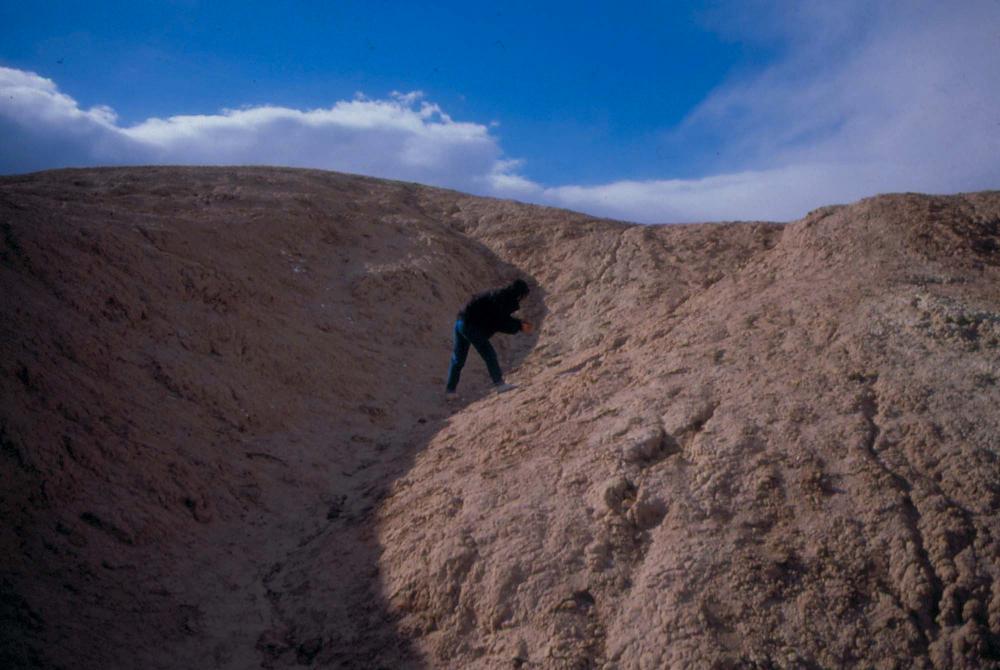 미국 애리조나주에서 촬영한 풍경 사진