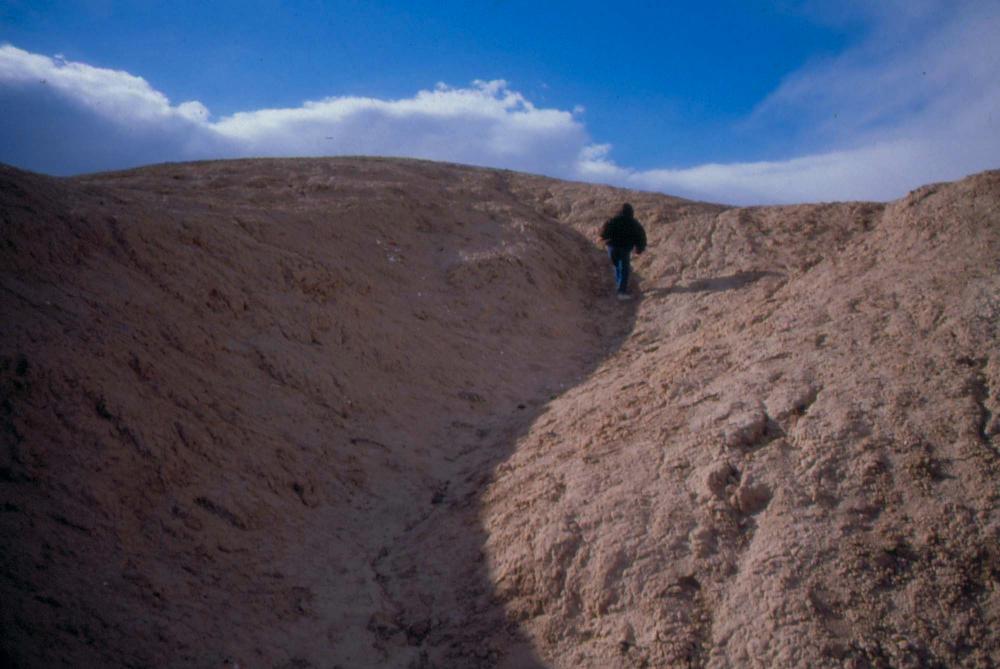 미국 애리조나주에서 촬영한 풍경 사진