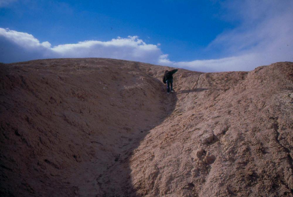 미국 애리조나주에서 촬영한 풍경 사진