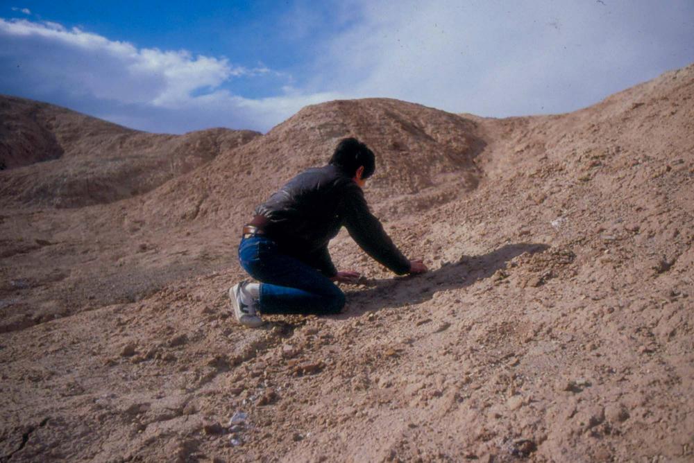 미국 애리조나주에서 촬영한 풍경 사진