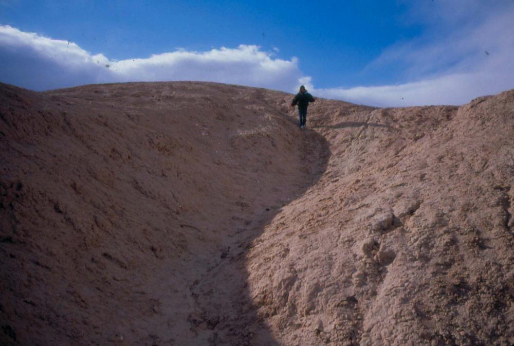 미국 애리조나주에서 촬영한 풍경 사진