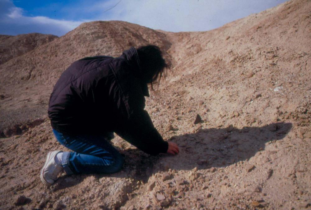 미국 애리조나주에서 촬영한 풍경 사진