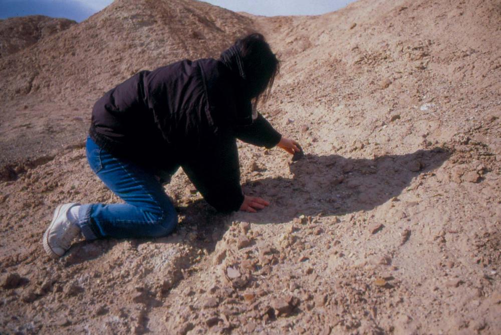 미국 애리조나주에서 촬영한 풍경 사진