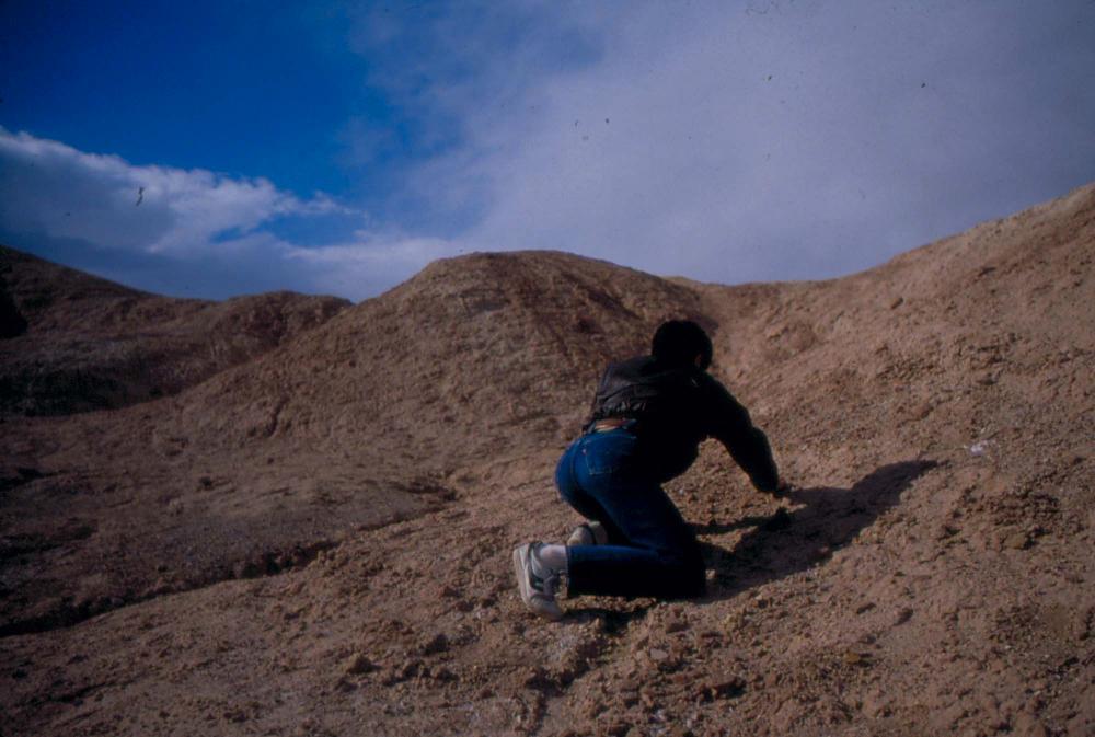미국 애리조나주에서 촬영한 풍경 사진