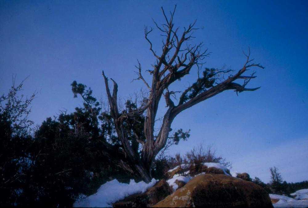 미국 애리조나주에서 촬영한 풍경 사진