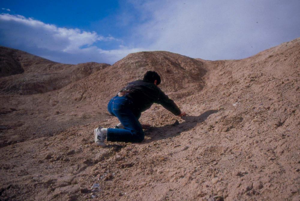 미국 애리조나주에서 촬영한 풍경 사진