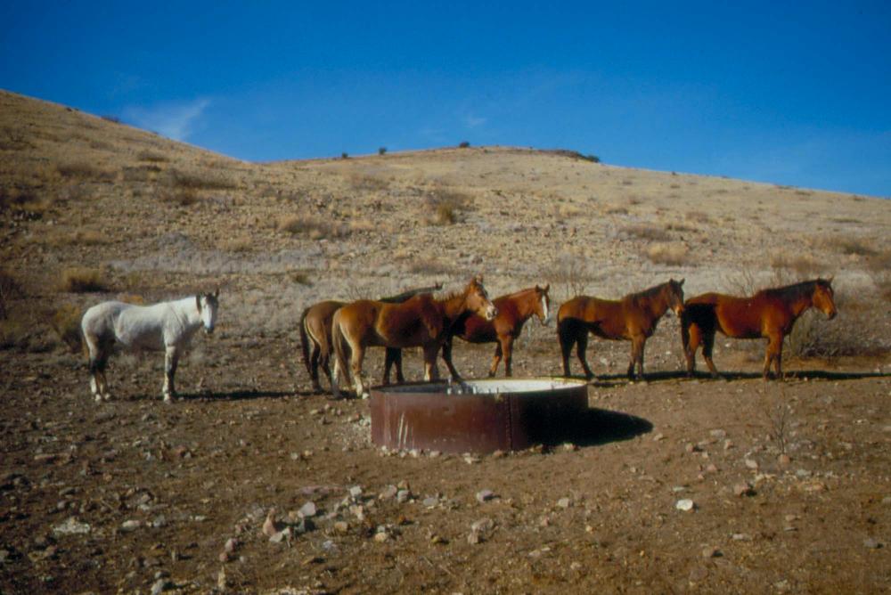 미국 애리조나주에서 촬영한 풍경 사진
