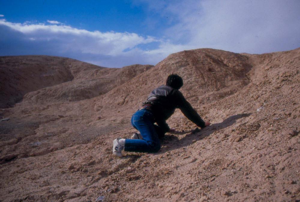 미국 애리조나주에서 촬영한 풍경 사진