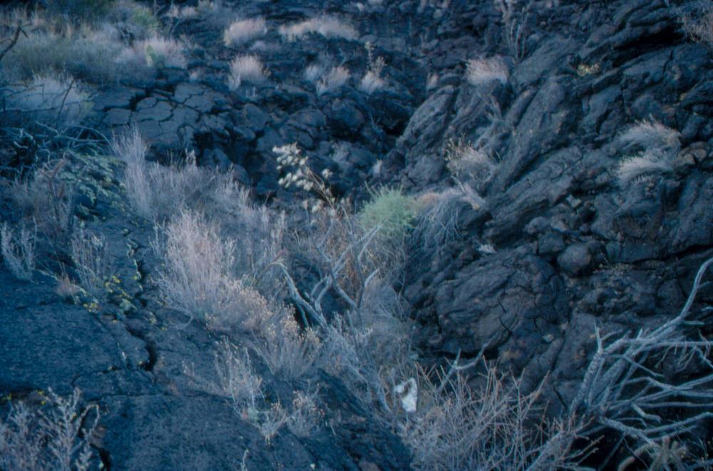 미국 애리조나주에서 촬영한 풍경 사진