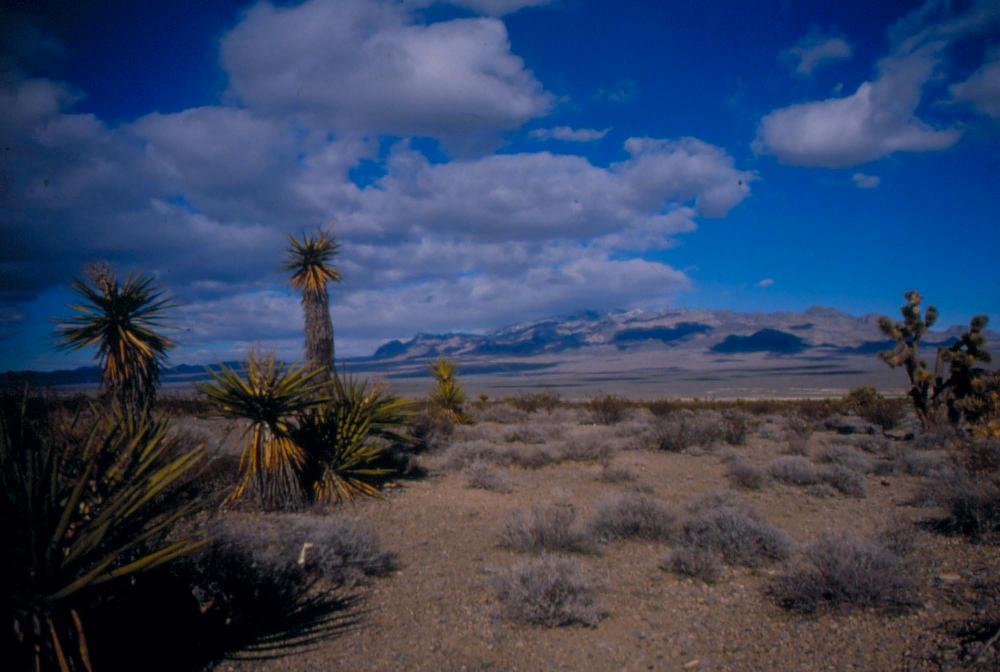 미국 애리조나주에서 촬영한 풍경 사진
