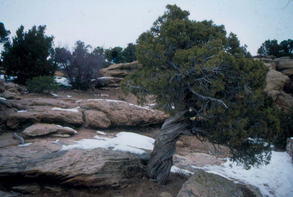 미국 애리조나주에서 촬영한 풍경 사진