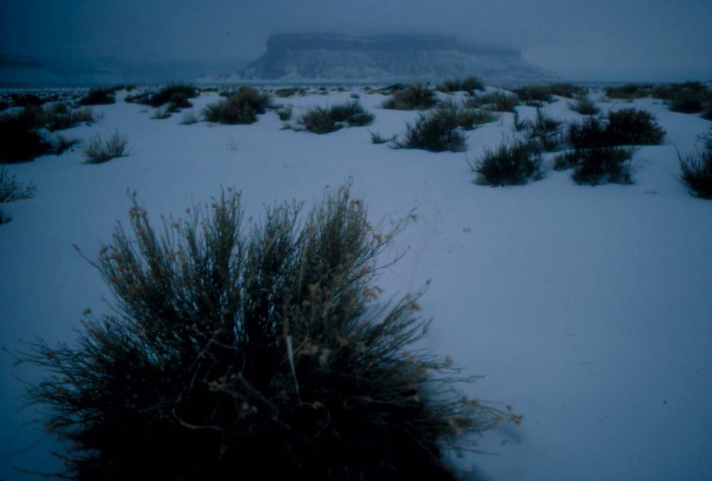 미국 애리조나주에서 촬영한 풍경 사진
