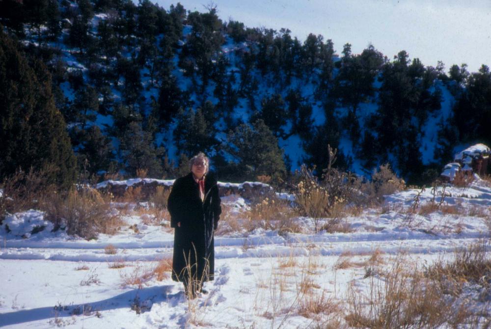 미국 애리조나주에서 촬영한 풍경 사진