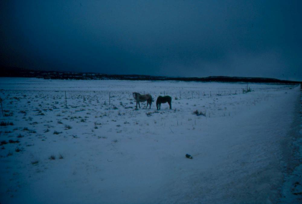 미국 애리조나주에서 촬영한 풍경 사진