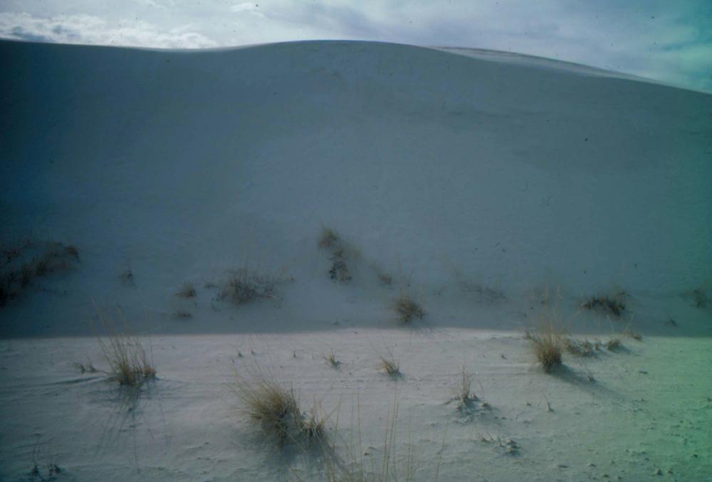 미국 애리조나주에서 촬영한 풍경 사진