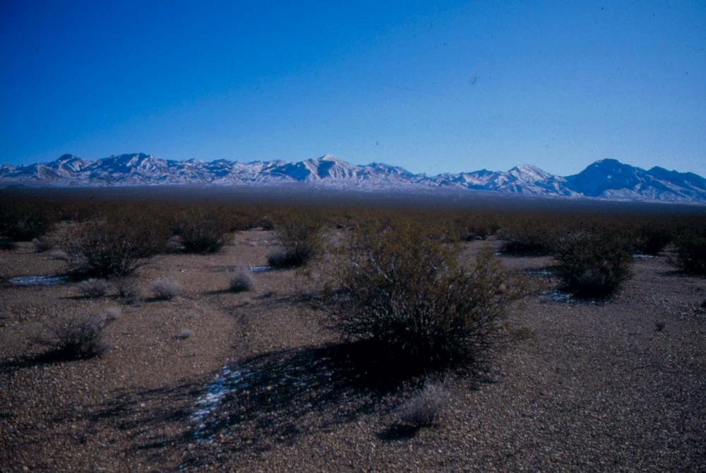 미국 애리조나주에서 촬영한 풍경 사진