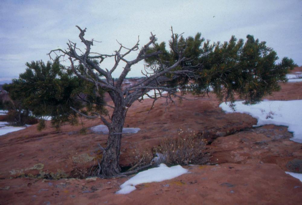 미국 애리조나주에서 촬영한 풍경 사진