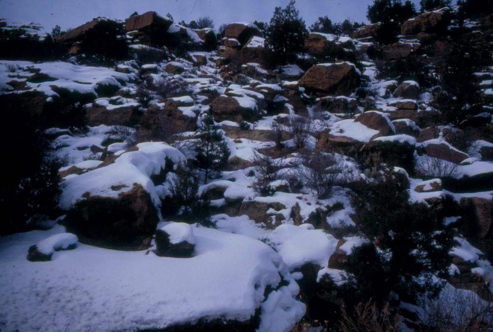 미국 애리조나주에서 촬영한 풍경 사진