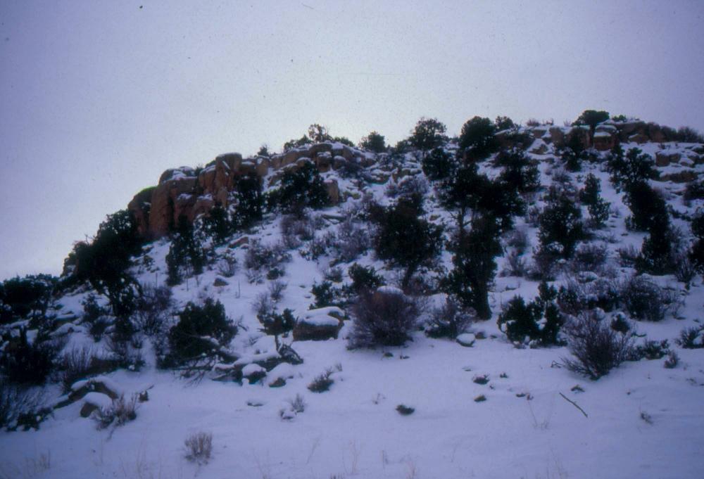 미국 애리조나주에서 촬영한 풍경 사진