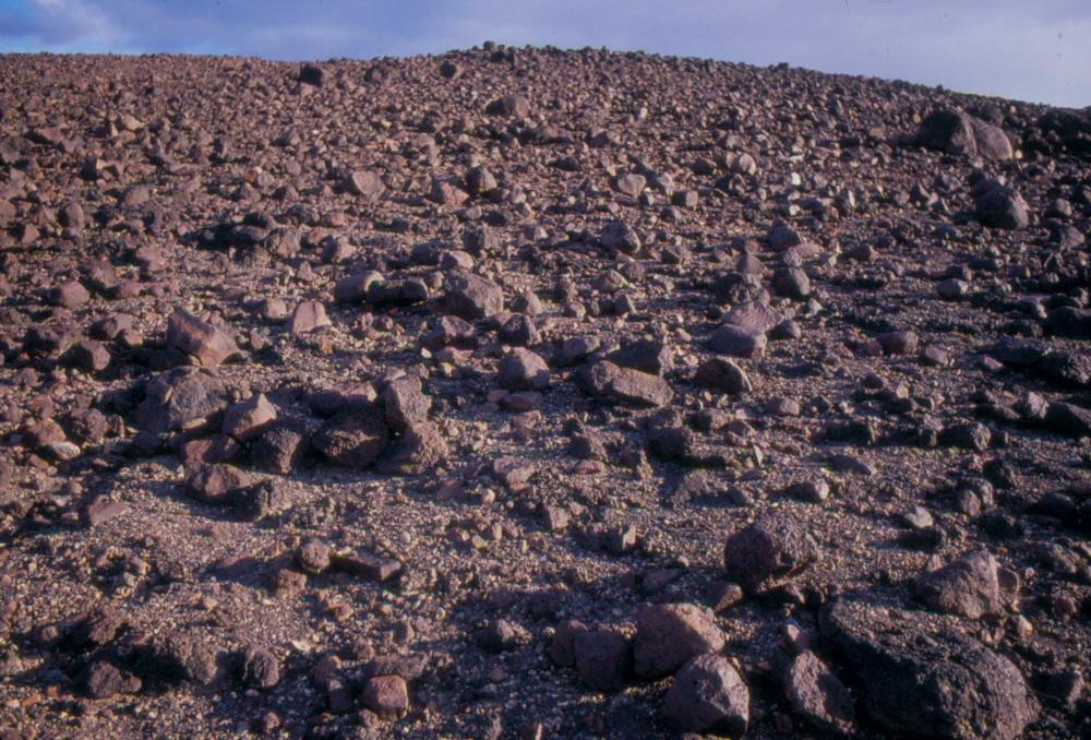 미국 애리조나주에서 촬영한 풍경 사진