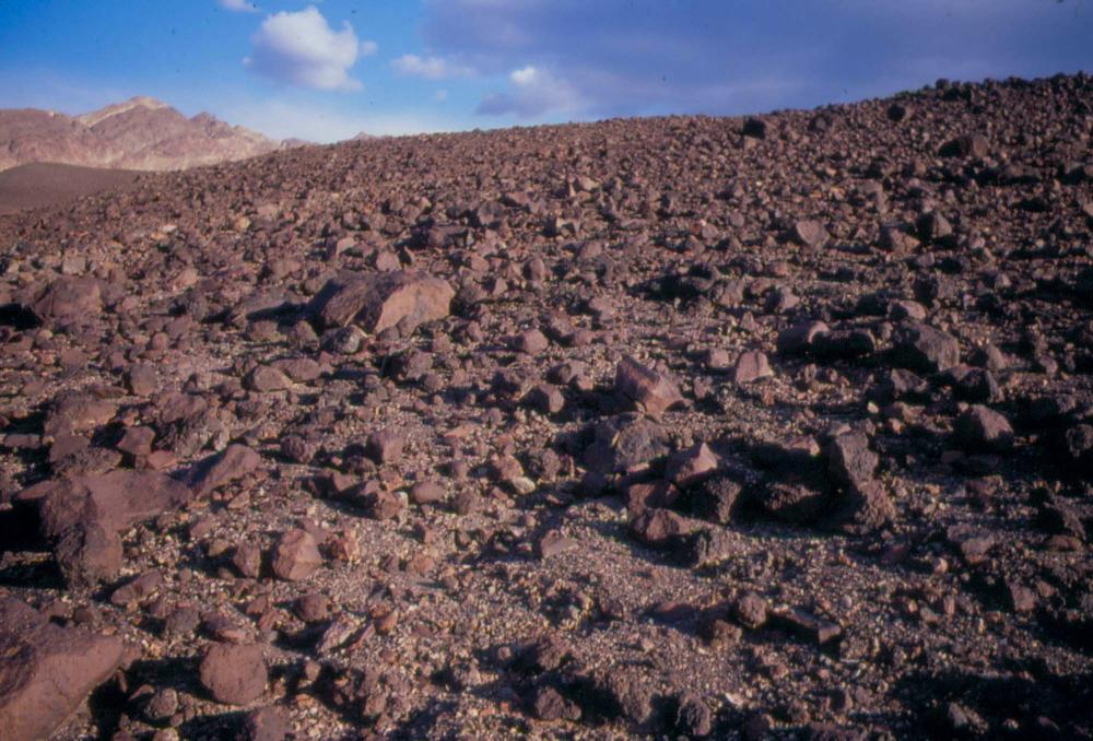 미국 애리조나주에서 촬영한 풍경 사진