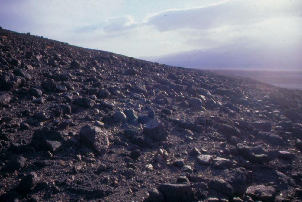 미국 애리조나주에서 촬영한 풍경 사진