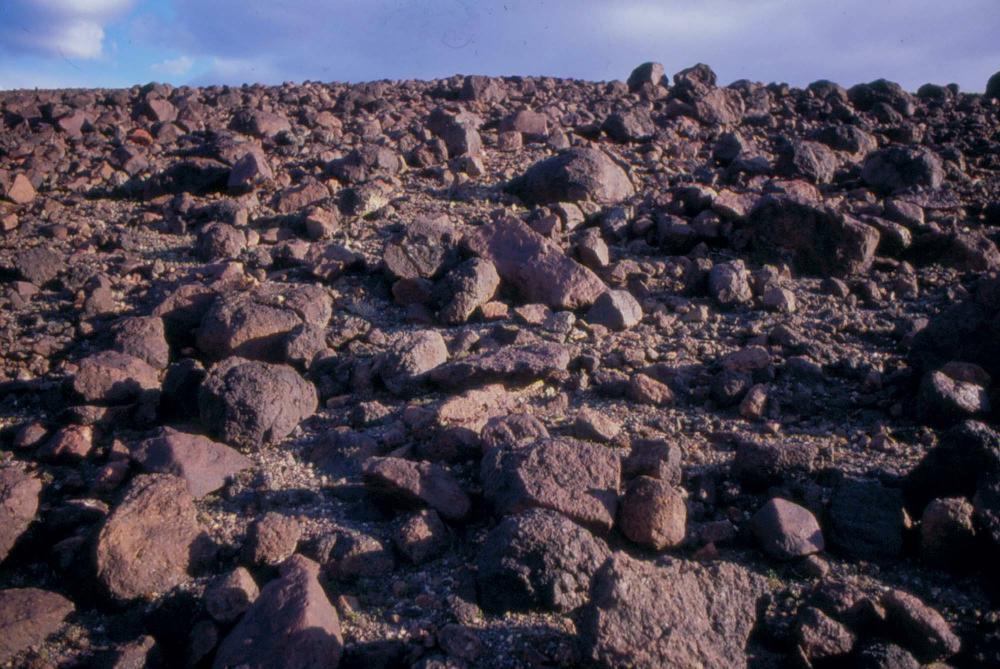 미국 애리조나주에서 촬영한 풍경 사진