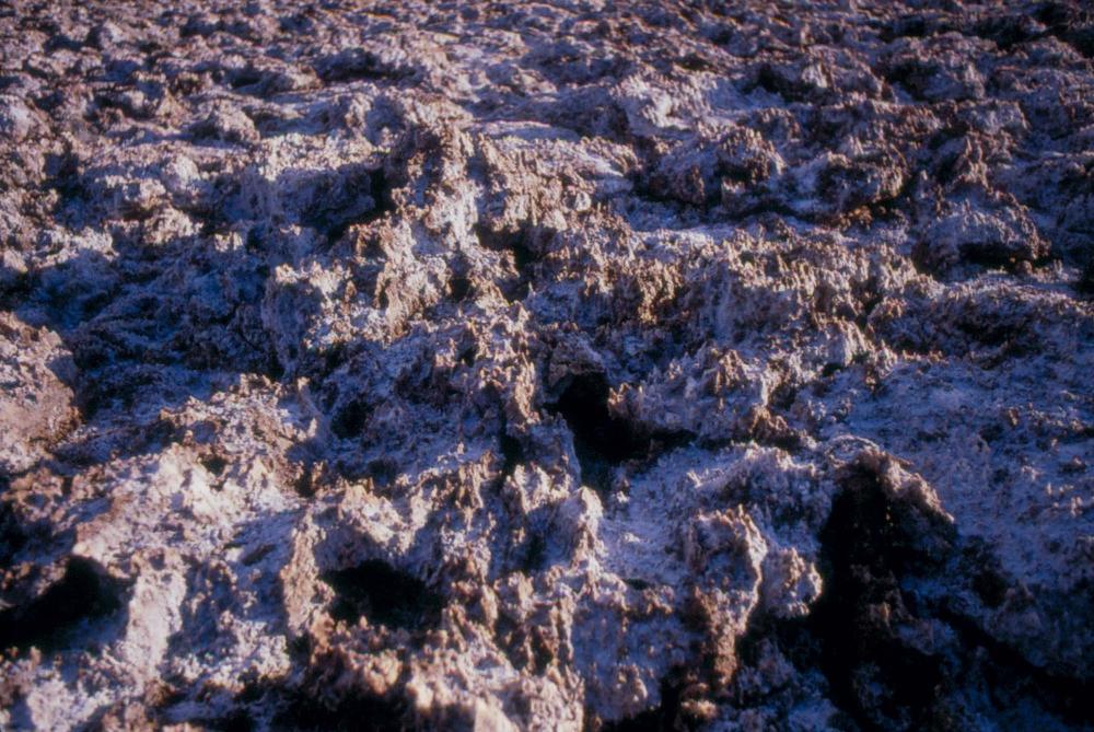 미국 애리조나주에서 촬영한 풍경 사진