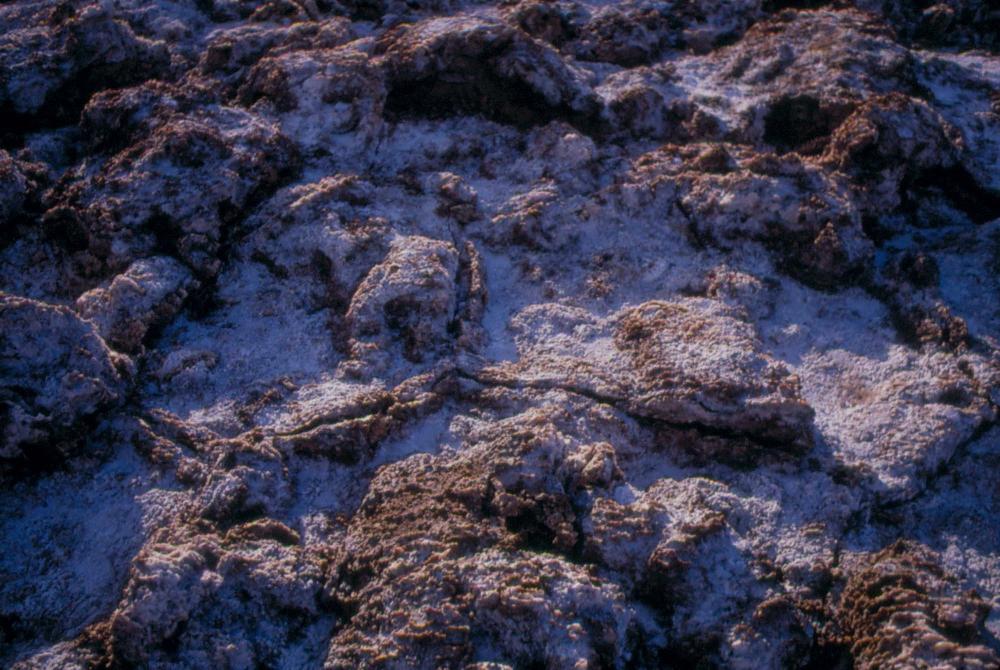 미국 애리조나주에서 촬영한 풍경 사진