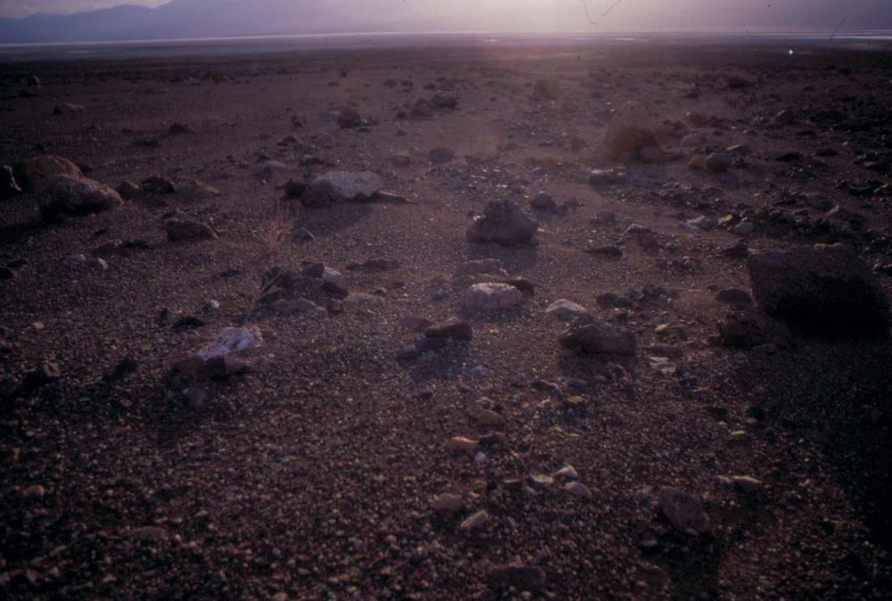 미국 애리조나주에서 촬영한 풍경 사진