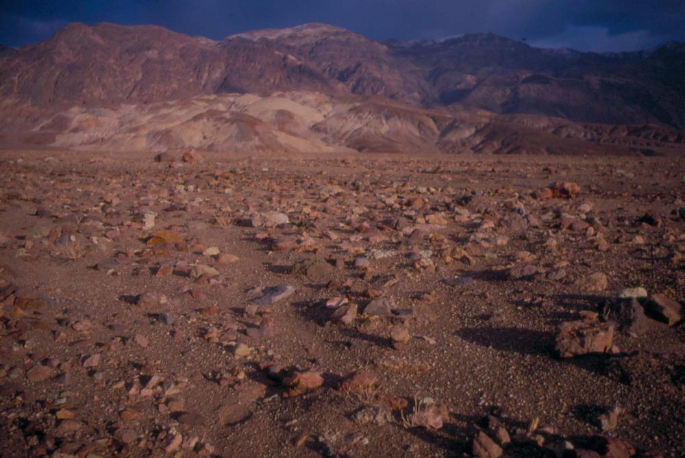 미국 애리조나주에서 촬영한 풍경 사진