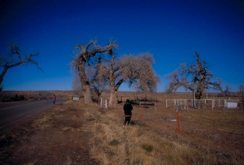 미국 애리조나주에서 촬영한 풍경 사진