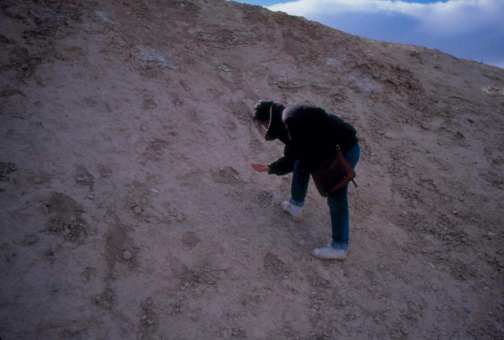 미국 애리조나주에서 촬영한 풍경 사진