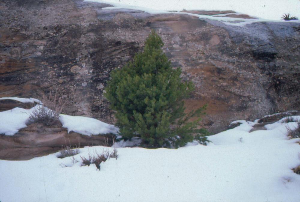 미국 애리조나주에서 촬영한 풍경 사진