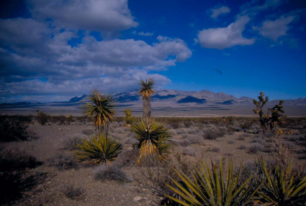 미국 애리조나주에서 촬영한 풍경 사진