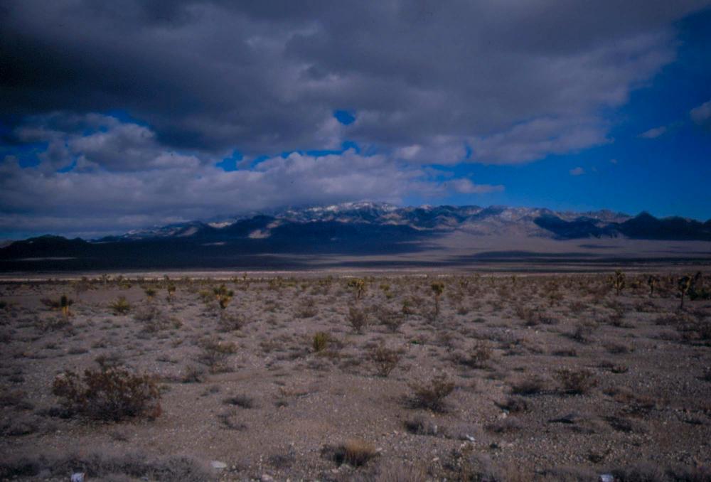 미국 애리조나주에서 촬영한 풍경 사진