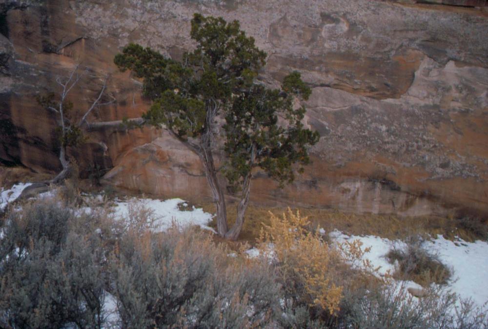 미국 애리조나주에서 촬영한 풍경 사진