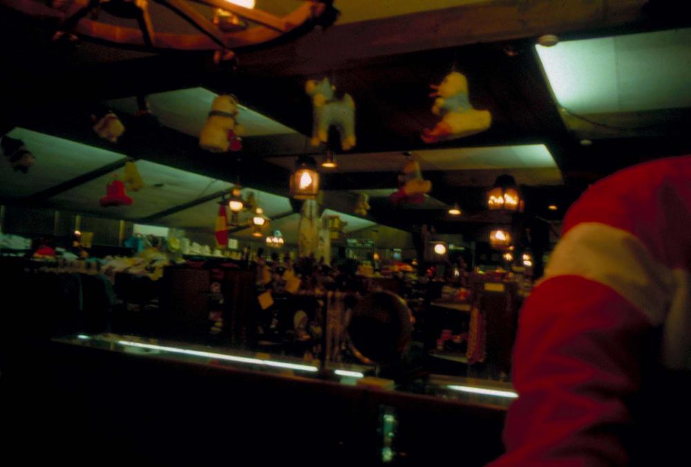 미국 애리조나주에서 촬영한 풍경 사진