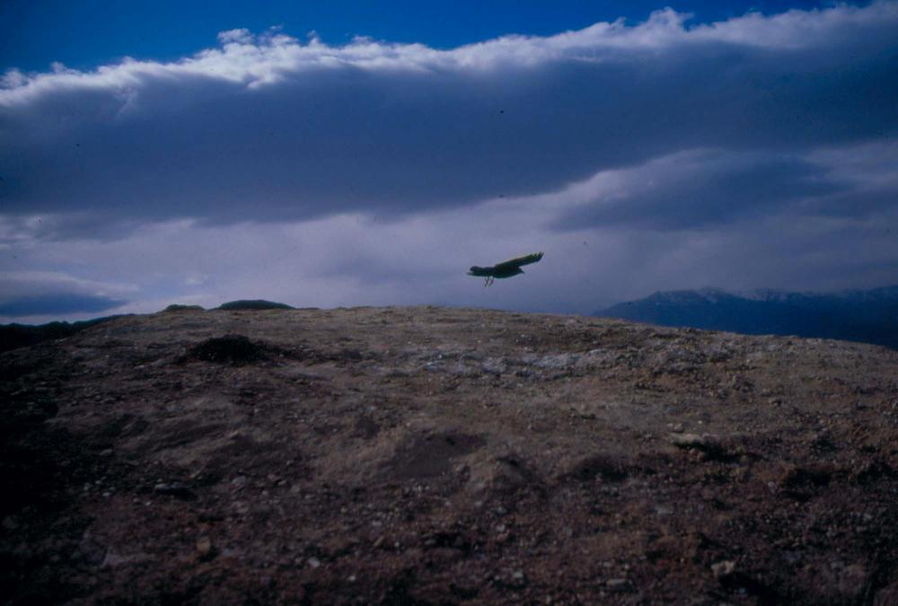 미국 애리조나주에서 촬영한 풍경 사진