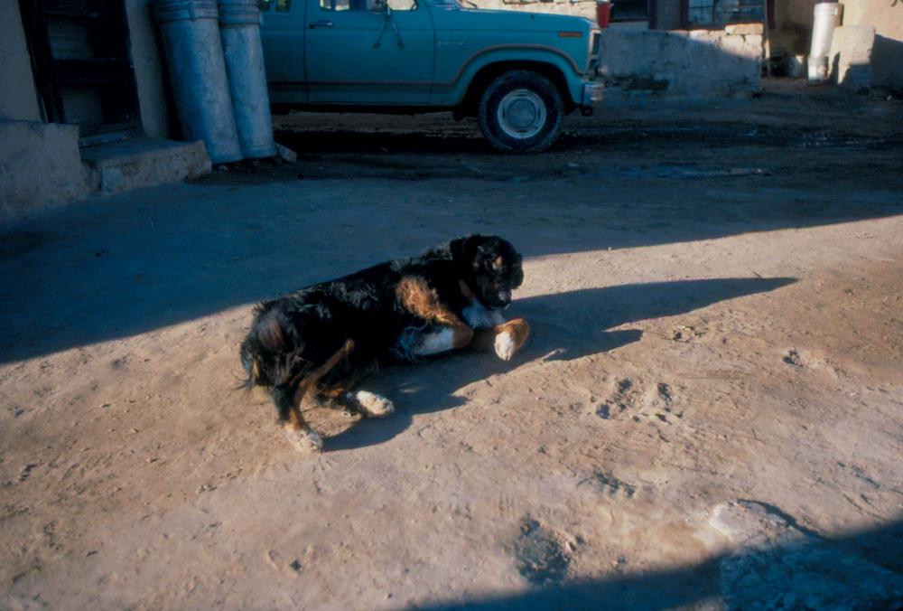 미국 애리조나주에서 촬영한 풍경 사진