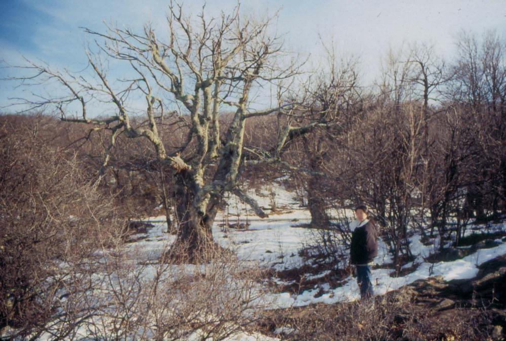 미국 애리조나주에서 촬영한 풍경 사진