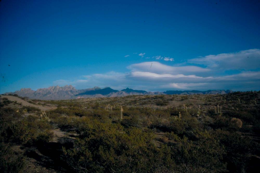 미국 애리조나주에서 촬영한 풍경 사진