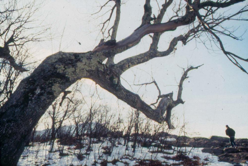 미국 애리조나주에서 촬영한 풍경 사진