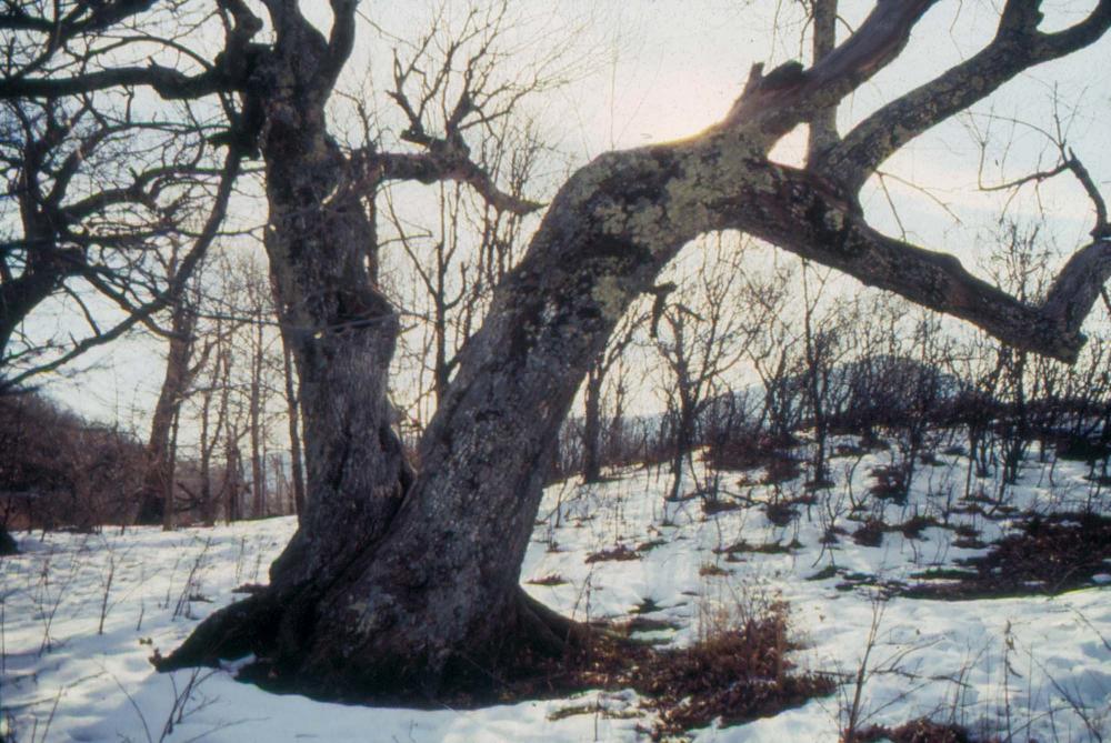 미국 애리조나주에서 촬영한 풍경 사진