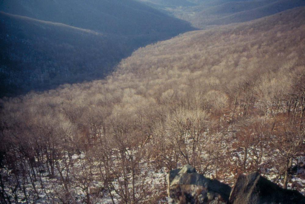 미국 애리조나주에서 촬영한 풍경 사진
